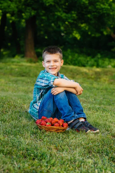小さなかわいい男の子が熟したおいしいイチゴの大きな箱に座っています 収穫だ イチゴを熟す 自然でおいしいベリー — ストック写真