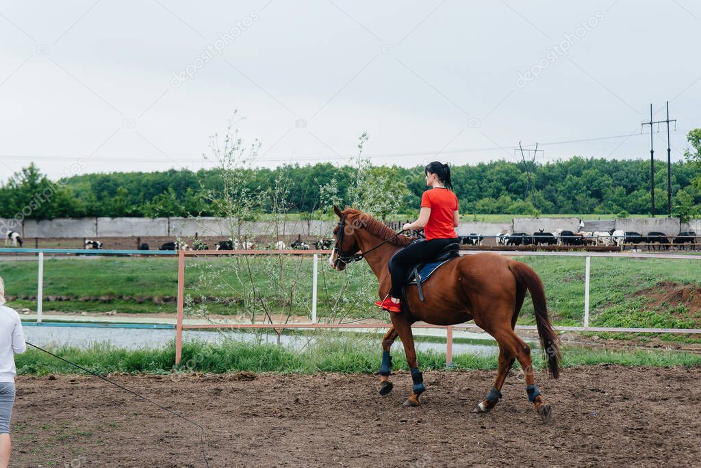A young and pretty girl is learning to ride a thoroughbred Mare on a summer day at the ranch. Horse riding, training and rehabilitation