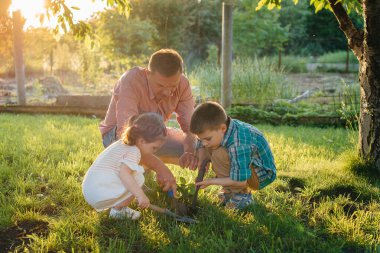 Küçük erkek ve kız kardeşler gün batımında babalarıyla güzel bir bahar bahçesinde fidanlar dikiyorlar. Yeni bir hayat. Çevreyi koru. Çevredeki dünyaya ve doğaya karşı dikkatli olun.