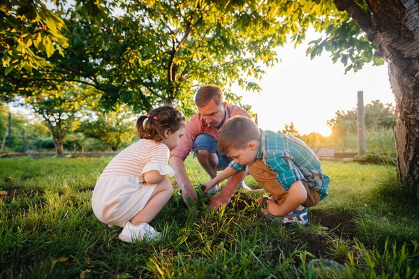 Little Brother Sister Planting Seedlings Father Beautiful Spring Garden Sunset — Stock Photo, Image