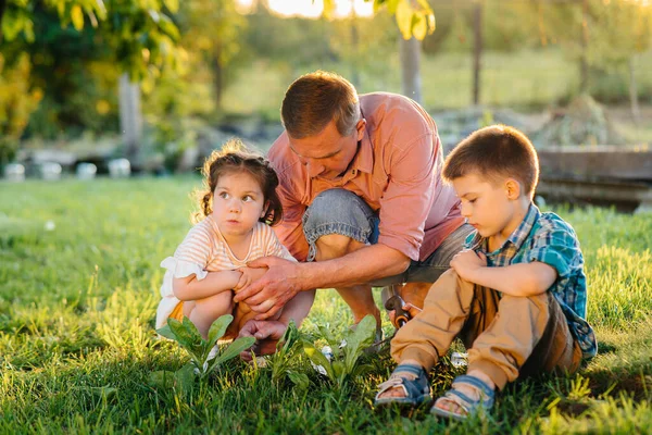 Irmãozinho Irmã Estão Plantando Mudas Com Seu Pai Belo Jardim — Fotografia de Stock