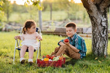 Küçük bir oğlan ve kız gün batımında bir kutu olgun sebzeyle bahçede bir ağacın altında oturuyorlar. Tarım, hasat. Çevre dostu ürün