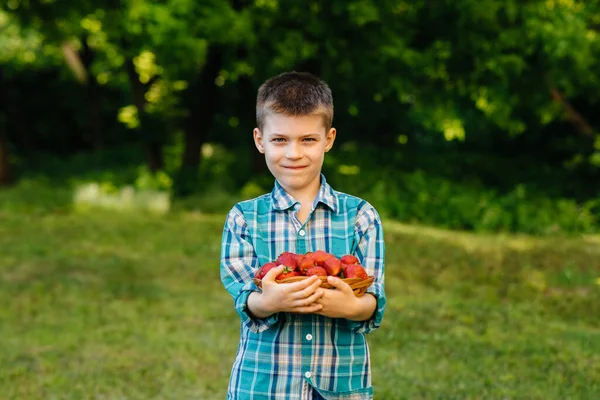 Petit Garçon Mignon Tient Avec Une Grande Boîte Fraises Mûres — Photo