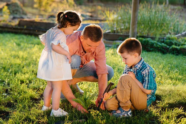 Little Brother Sister Planting Seedlings Father Beautiful Spring Garden Sunset — Stock Photo, Image