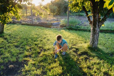 Sevimli küçük bir çocuk gün batımında bahçede filizler dikiyor. Bahçecilik ve tarım.