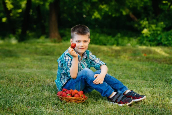 Niño Pequeño Lindo Está Sentado Con Una Gran Caja Fresas — Foto de Stock