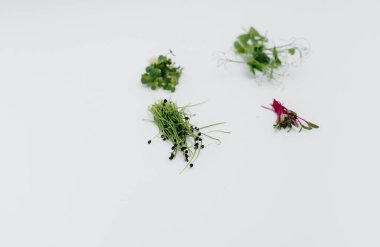 Mikro-yeşil filizler beyaz arka planda yakın plan ve boş alan. Sağlıklı yemek ve yaşam tarzı