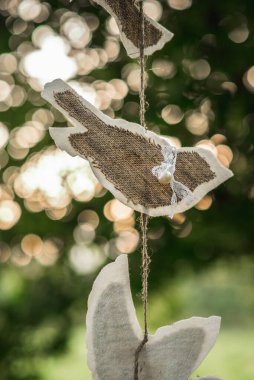 Gün batımında bir dalda asılı duran güzel bir kuş yavrusu.