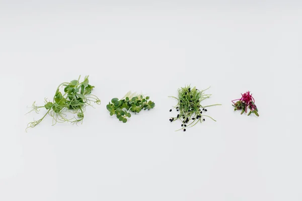 Micro Groene Spruiten Close Een Witte Achtergrond Met Vrije Ruimte — Stockfoto