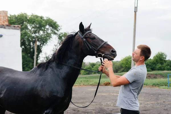 Jeune Homme Lave Cheval Pur Sang Avec Tuyau Jour Été — Photo