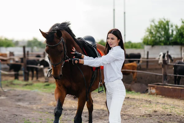 Une Jeune Jolie Cavalière Pose Près Étalon Pur Sang Dans — Photo