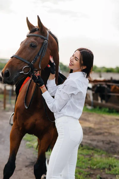 Uma Menina Bonita Jovem Cavaleiro Posa Perto Garanhão Puro Sangue — Fotografia de Stock