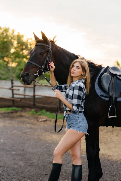 Young Pretty Girl Rider Poses Thoroughbred Stallion Ranch Horse Riding — Stock Photo, Image