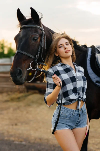 Una Giovane Ragazza Carina Cavaliere Posa Vicino Uno Stallone Purosangue — Foto Stock