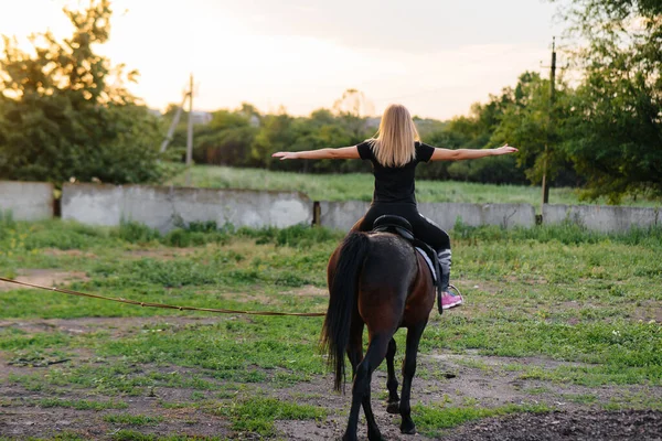 Une Jeune Jolie Fille Apprend Monter Une Mare Pur Sang — Photo