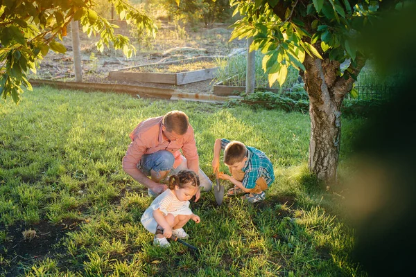 Little Brother Sister Planting Seedlings Father Beautiful Spring Garden Sunset — Stock Photo, Image