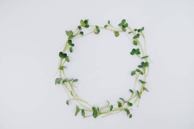 Mikro-yeşil filizler beyaz arka planda yakın plan ve boş alan. Sağlıklı yemek ve yaşam tarzı