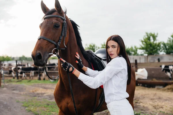 Une Jeune Jolie Cavalière Pose Près Étalon Pur Sang Dans — Photo