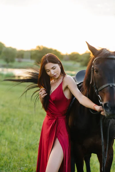 드레스를 아름다운 소녀가 석양에 종마와 목장에 포즈를 취한다 동물을 돌보는 — 스톡 사진