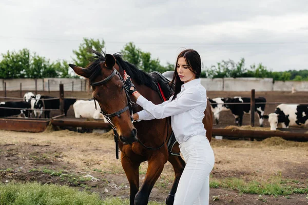 Une Jeune Jolie Cavalière Pose Près Étalon Pur Sang Dans — Photo