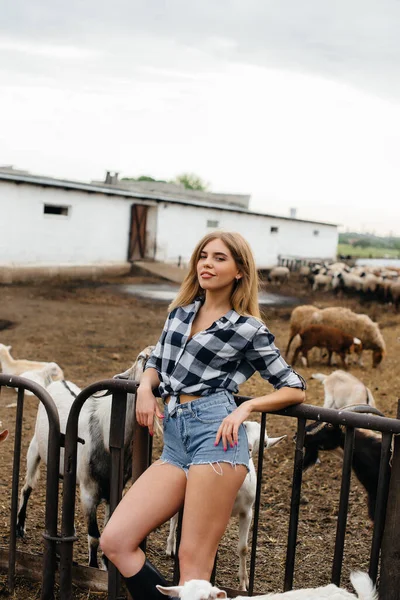 Une Jeune Jolie Fille Pose Sur Ranch Avec Des Chèvres — Photo