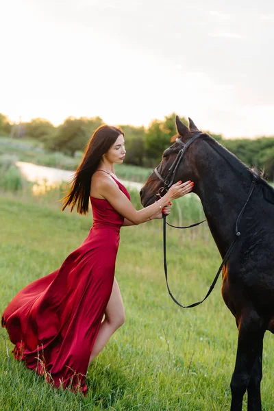 Молодая Красивая Девушка Красном Платье Позирует Ранчо Чистокровным Жеребцом Закате — стоковое фото