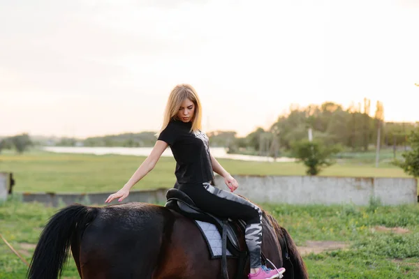若い可愛い女の子が牧場で夏の日にサラブレッドのマーレに乗ることを学んでいます リハビリテーション — ストック写真
