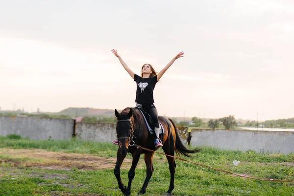 Une Jeune Jolie Fille Apprend Monter Une Mare Pur Sang — Photo