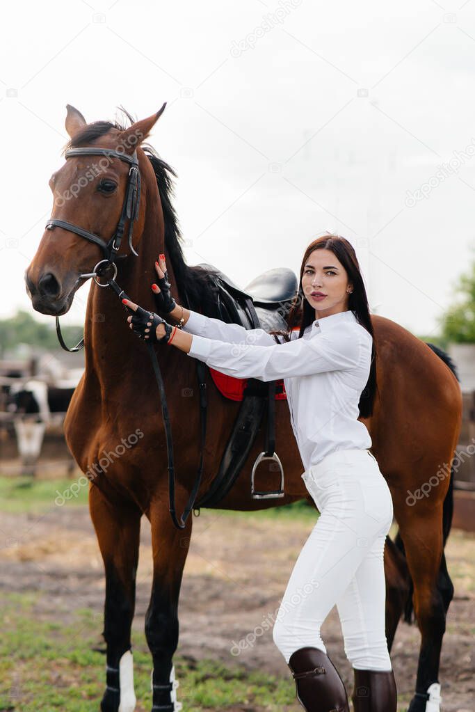 A young pretty girl rider poses near a thoroughbred stallion on a ranch. Horse riding, horse racing