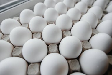 Karton bir form üzerine yakın plan beyaz yumurta tepsisi. Tarım endüstrisi