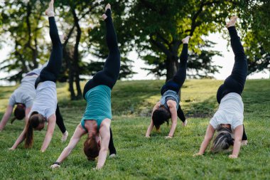 Bir grup insan gün batımında parkta yoga yapıyor. Sağlıklı yaşam tarzı, meditasyon ve sağlık