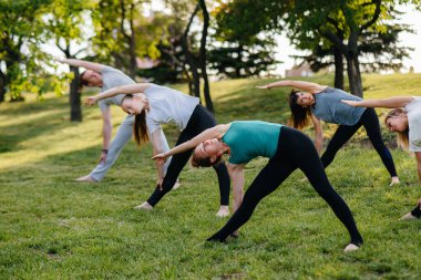 Bir grup insan gün batımında parkta yoga yapıyor. Sağlıklı yaşam tarzı, meditasyon ve sağlık