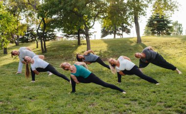 Bir grup insan gün batımında parkta yoga yapıyor. Sağlıklı yaşam tarzı, meditasyon ve sağlık