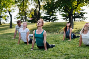 Bir grup insan gün batımında parkta yoga yapıyor. Sağlıklı yaşam tarzı, meditasyon ve sağlık
