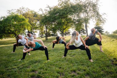 Bir grup insan gün batımında parkta yoga yapıyor. Sağlıklı yaşam tarzı, meditasyon ve sağlık