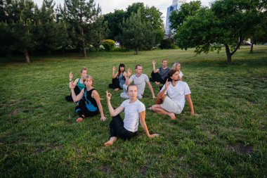 Bir grup insan gün batımında parkta yoga yapıyor. Sağlıklı yaşam tarzı, meditasyon ve sağlık