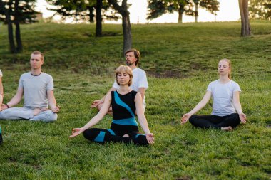 Bir grup insan gün batımında parkta yoga yapıyor. Sağlıklı yaşam tarzı, meditasyon ve sağlık