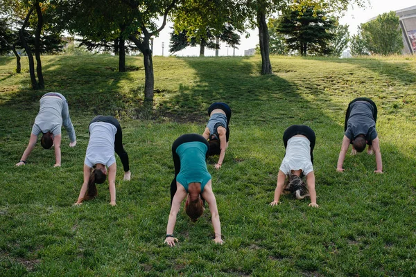 Eine Gruppe Von Leuten Macht Yoga Park Bei Sonnenuntergang Gesunder — Stockfoto