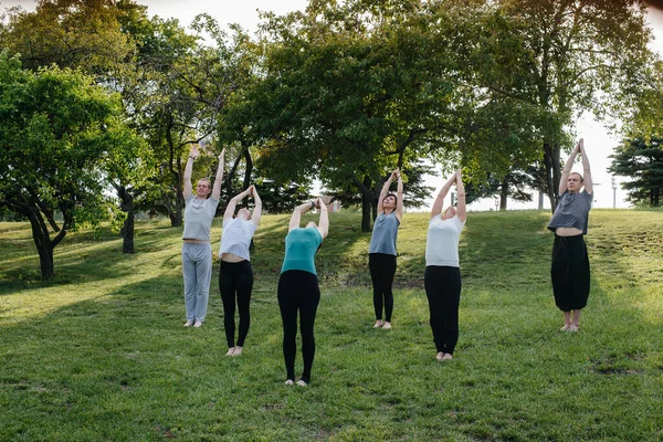 Grupo Personas Hace Yoga Parque Atardecer Vida Sana Meditación Bienestar — Foto de Stock