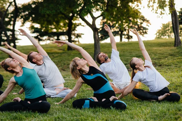 Grupo Personas Hace Yoga Parque Atardecer Vida Sana Meditación Bienestar — Foto de Stock