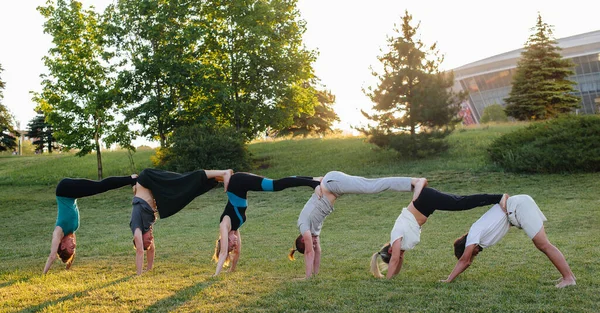 Egy Csoport Jógázik Parkban Naplementekor Egészséges Életmód Meditáció Wellness — Stock Fotó