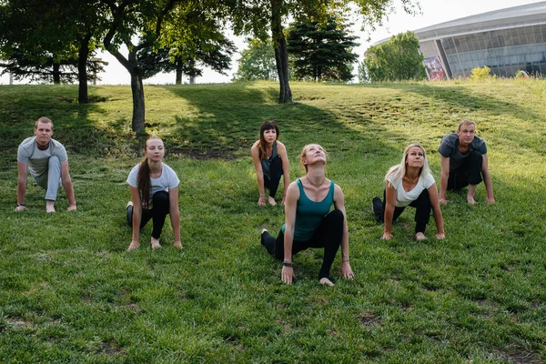 Eine Gruppe Von Leuten Macht Yoga Park Bei Sonnenuntergang Gesunder — Stockfoto