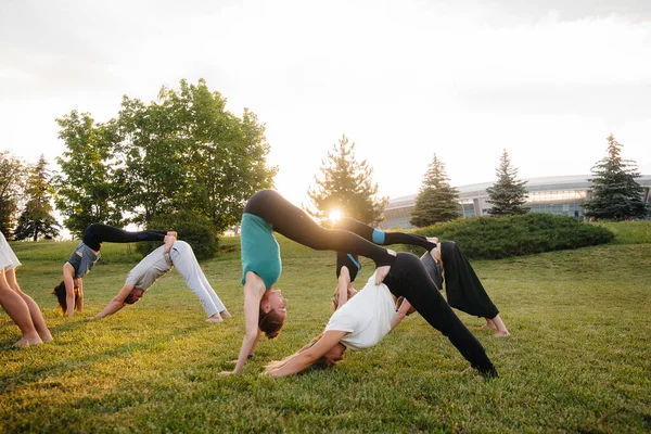 Bir Grup Insan Gün Batımında Parkta Yoga Yapıyor Sağlıklı Yaşam — Stok fotoğraf