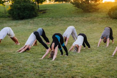 Bir grup insan gün batımında parkta yoga yapıyor. Sağlıklı yaşam tarzı, meditasyon ve sağlık