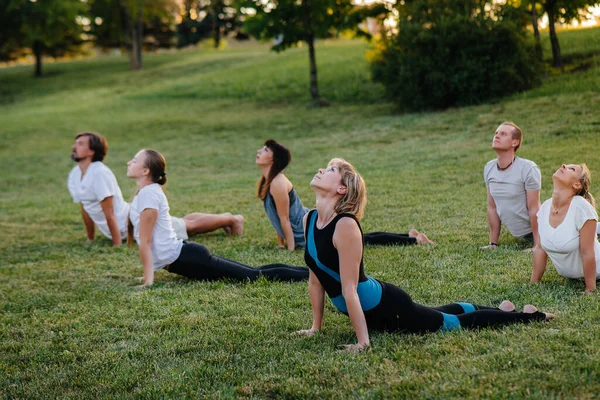 Group People Yoga Park Sunset Healthy Lifestyle Meditation Wellness — Stock Photo, Image