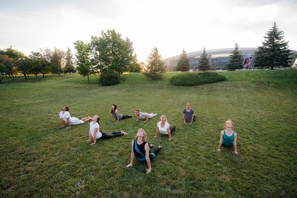 Grupa Ludzi Uprawia Jogę Parku Zachodzie Słońca Zdrowy Styl Życia — Zdjęcie stockowe