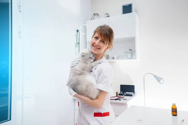 Uma Clínica Veterinária Moderna Gato Puro Sangue Examinado Tratado Mesa — Fotografia de Stock