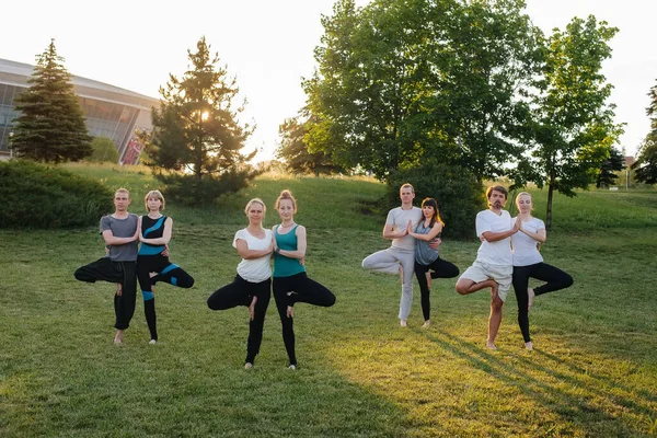 Grupo Personas Hace Yoga Parque Atardecer Vida Sana Meditación Bienestar — Foto de Stock