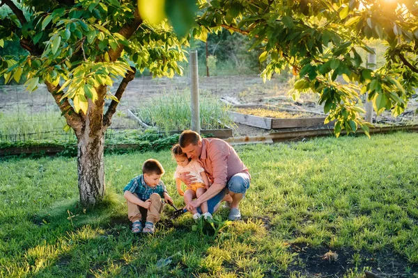 Irmãozinho Irmã Estão Plantando Mudas Com Seu Pai Belo Jardim — Fotografia de Stock