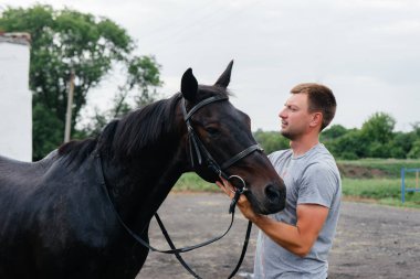 Genç bir adam çiftlikteki safkan bir aygıra bakıyor. Hayvancılık ve safkan at yetiştiriciliği.